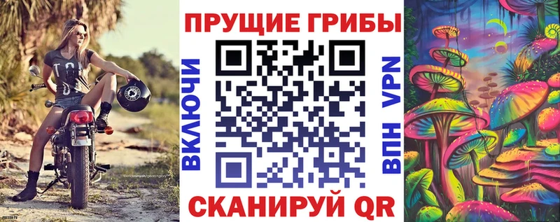 Псилоцибиновые грибы Magic Shrooms  мега рабочий сайт  Дубовка  купить наркотики цена 